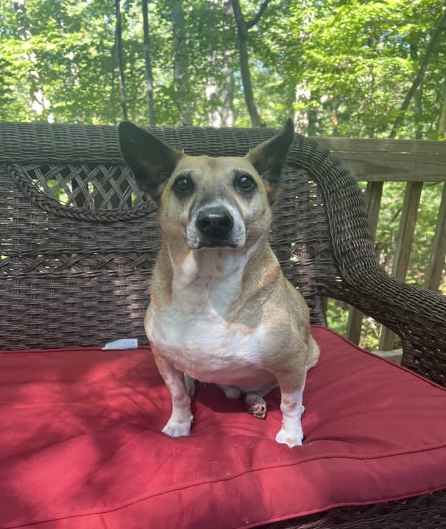 Willie, Chief Morale Officer at UXit